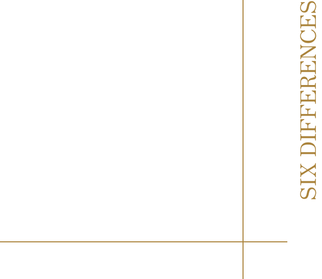 h+beauty 低継代細胞 ― 劣化が進む前の「4継代目」までを厳選